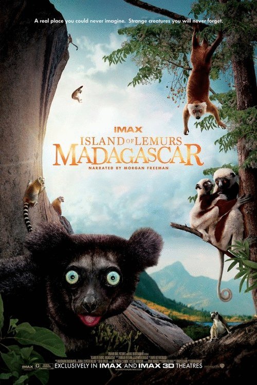 L'affiche du film Island of Lemurs: Madagascar