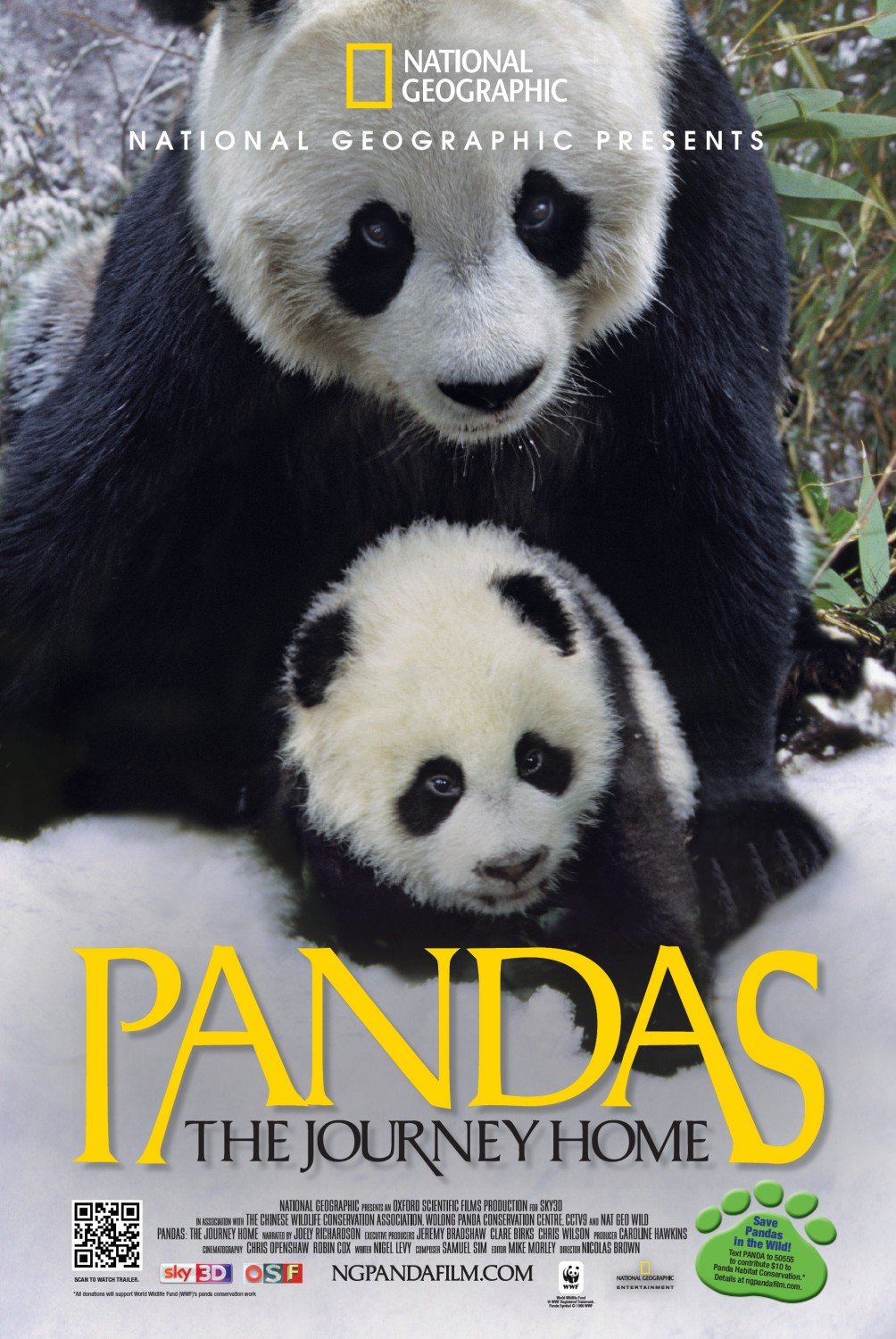 L'affiche du film Pandas: retour à la nature