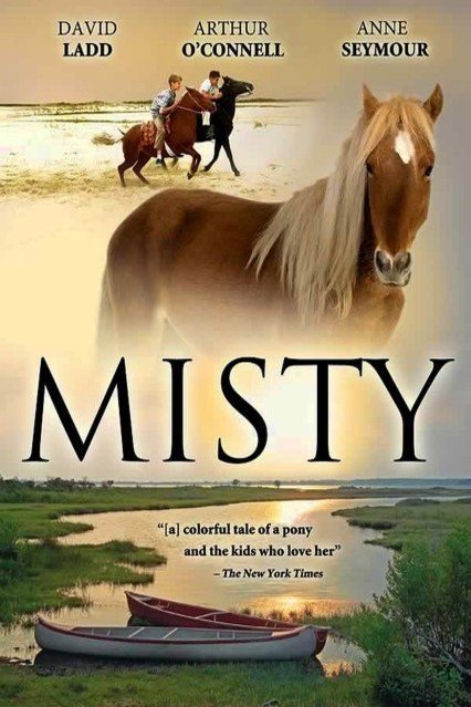 L'affiche du film Misty