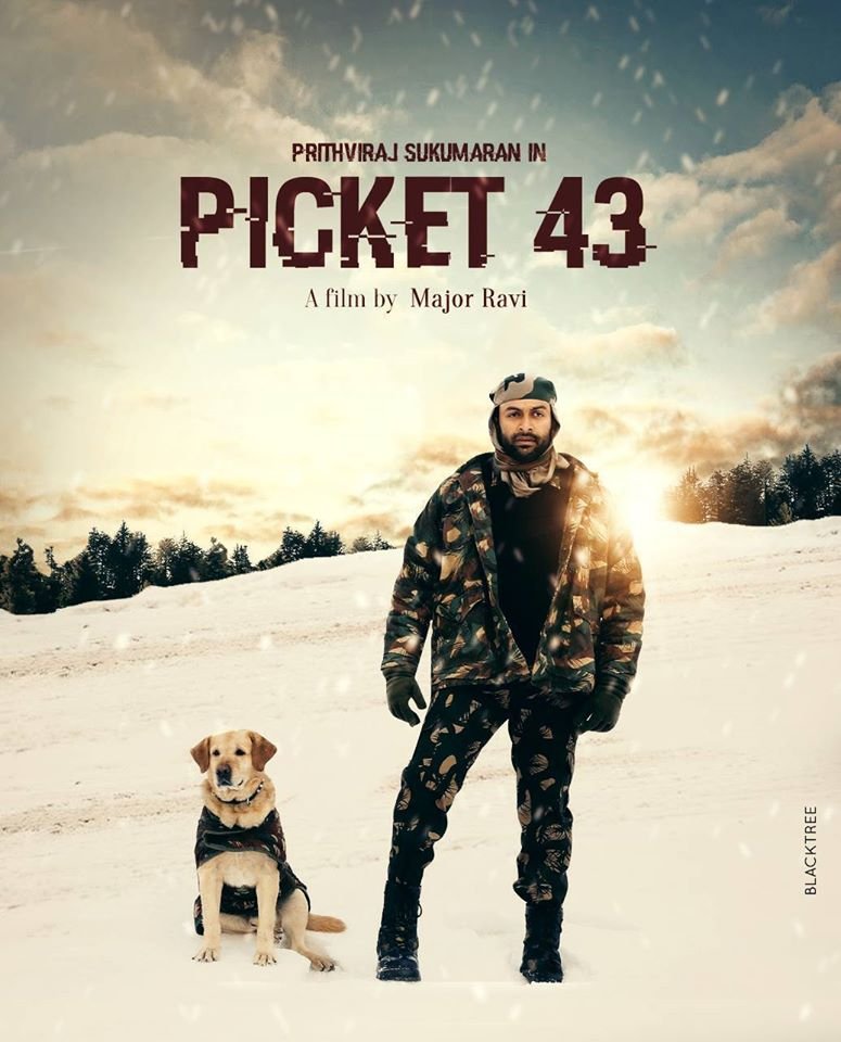L'affiche du film Picket 43
