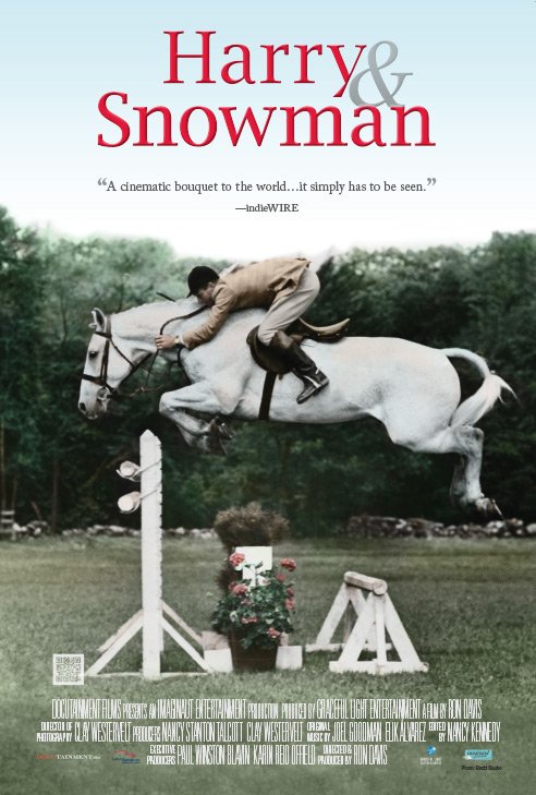 Poster of the movie Harry & Snowman