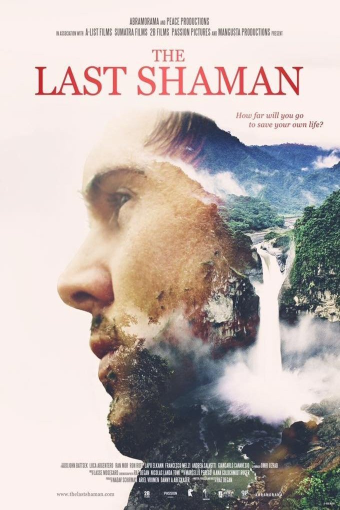 Poster of the movie The Last Shaman