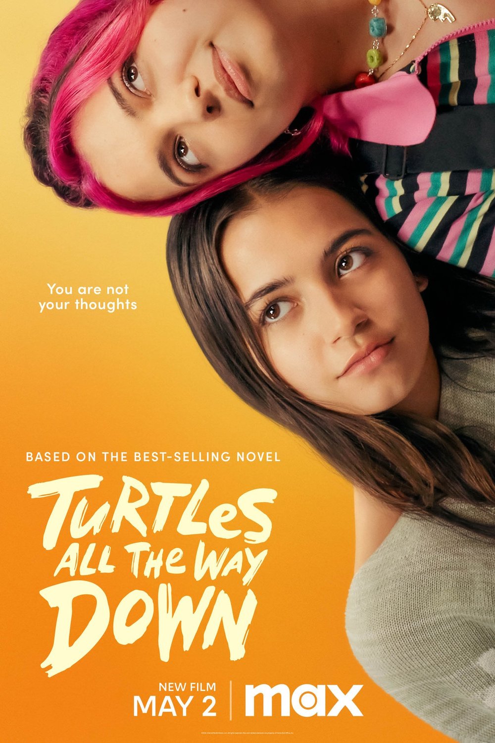 L'affiche du film Turtles All the Way Down