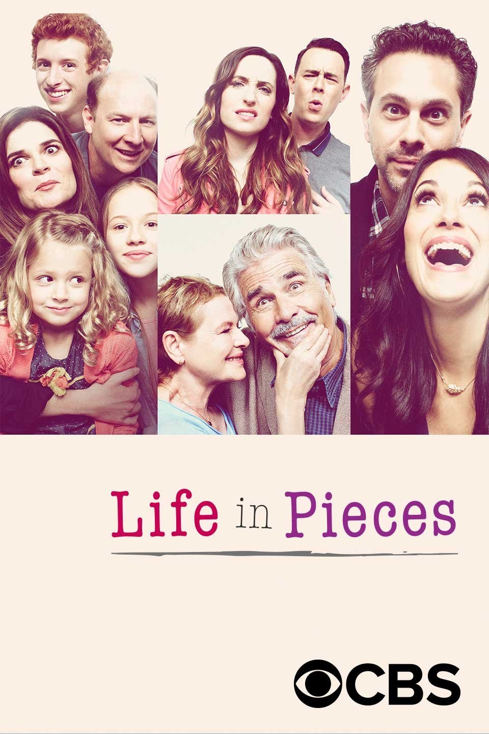 Poster of the movie Life in Pieces