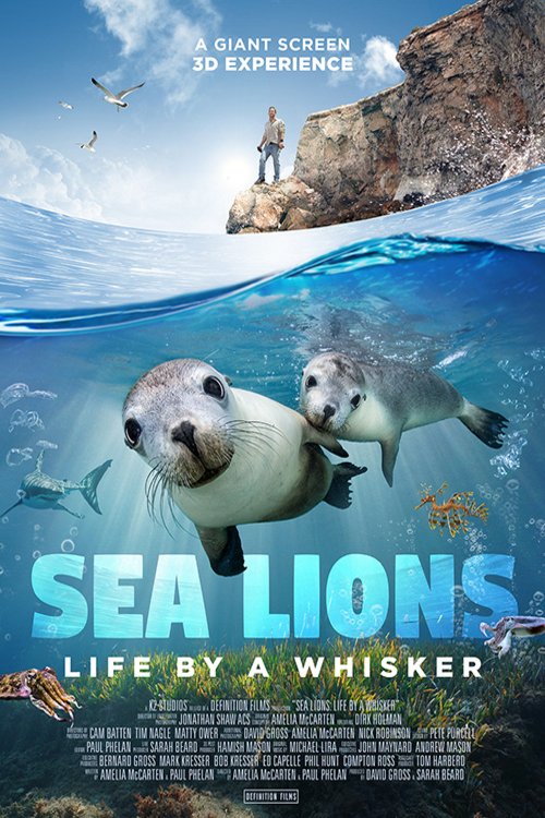L'affiche du film Sea Lions: Life by a Whisker