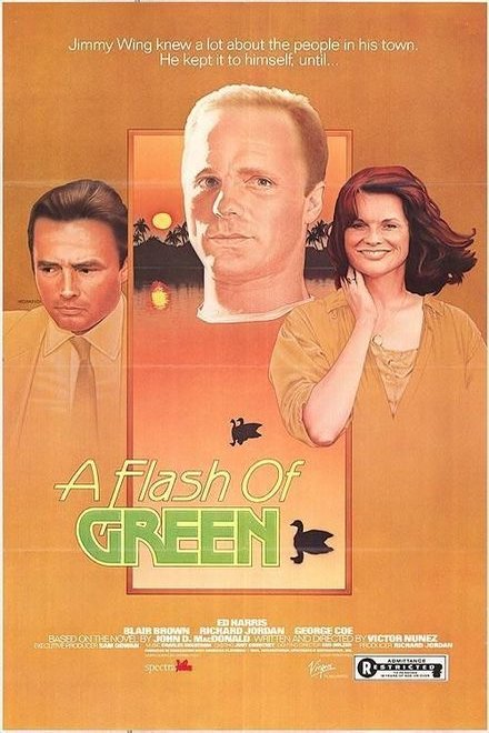L'affiche du film American Playhouse: A Flash of Green