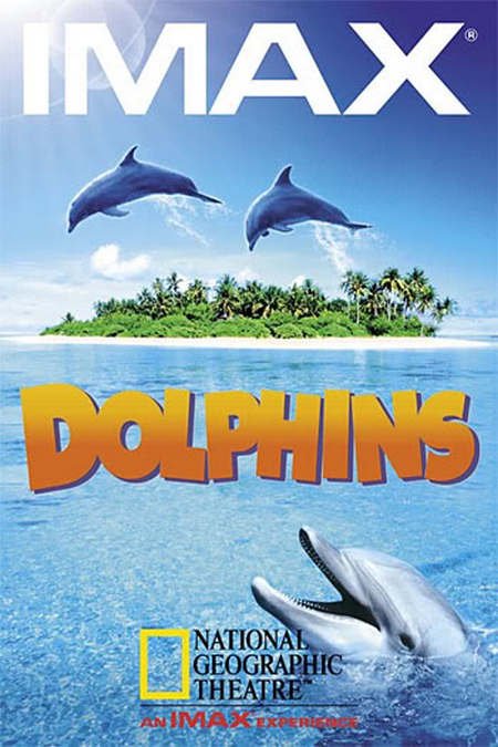 L'affiche du film Dauphins