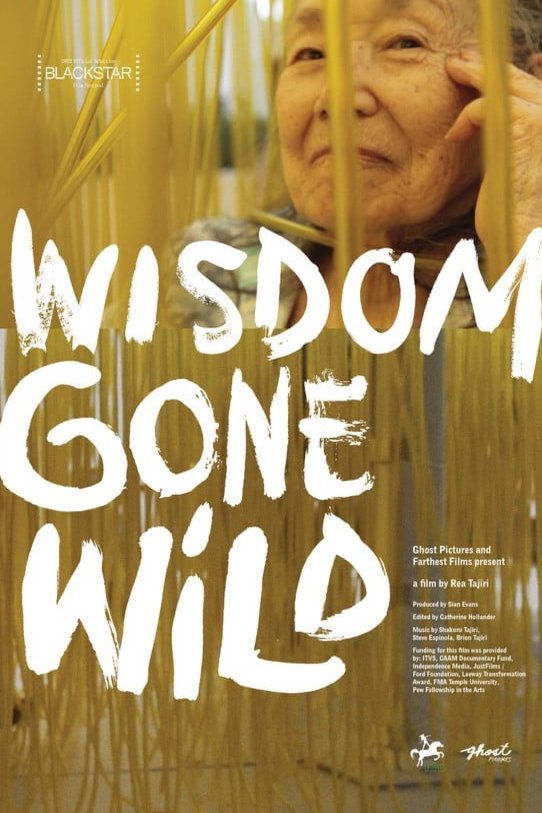 Poster of the movie Wisdom Gone Wild