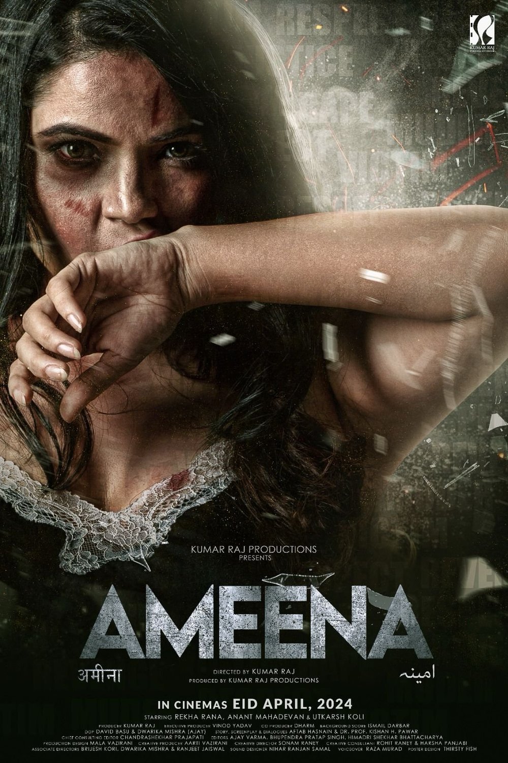 Hindi poster of the movie Ameena