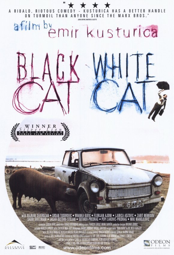 L'affiche du film Chat Noir, Chat Blanc