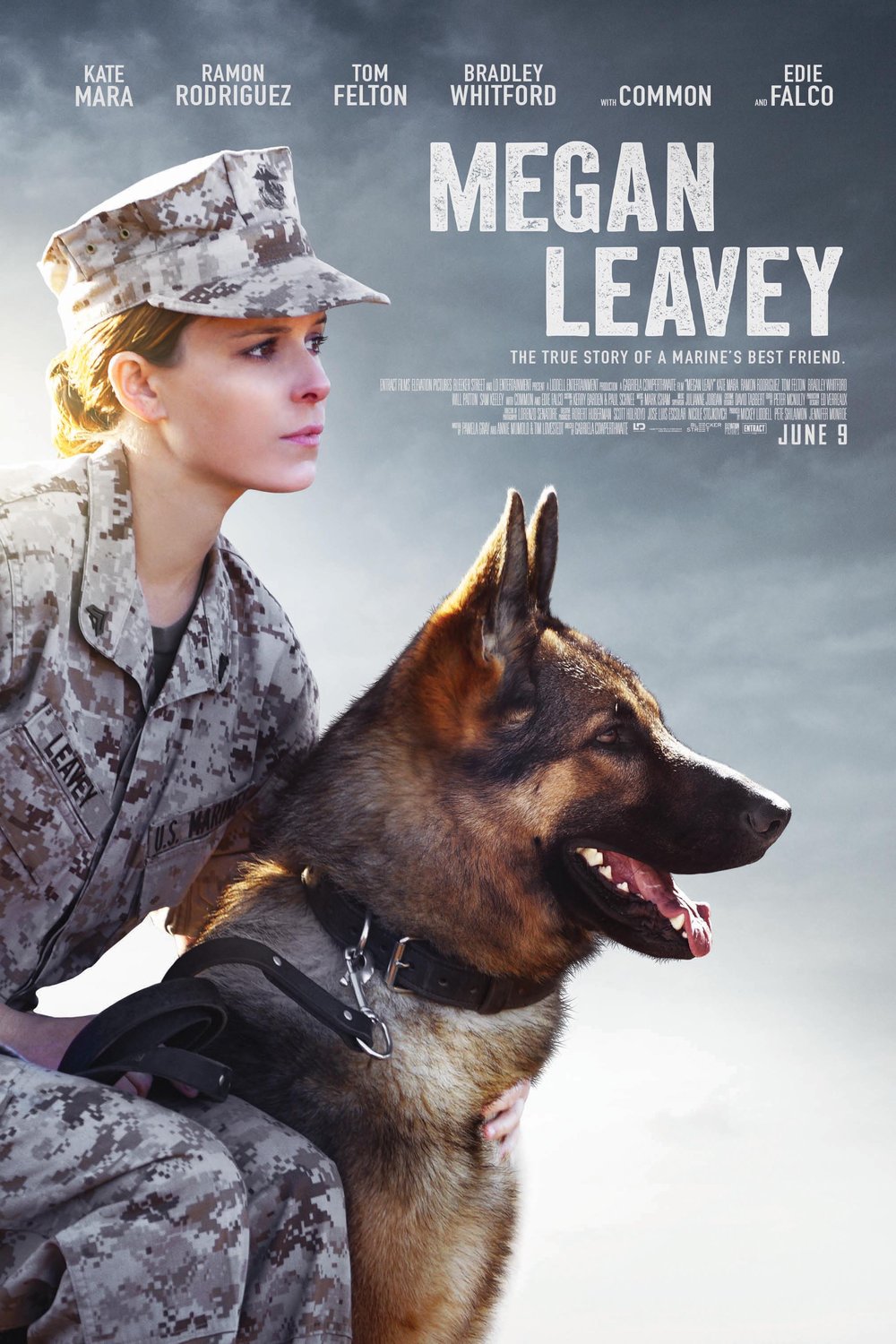 Poster of the movie Megan Leavey v.f.
