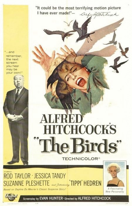 L'affiche du film The Birds