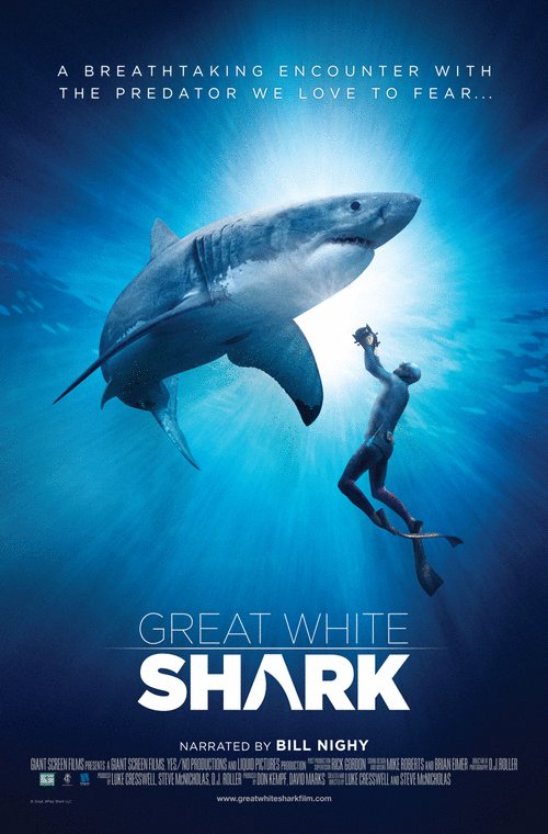 L'affiche du film Great White Shark