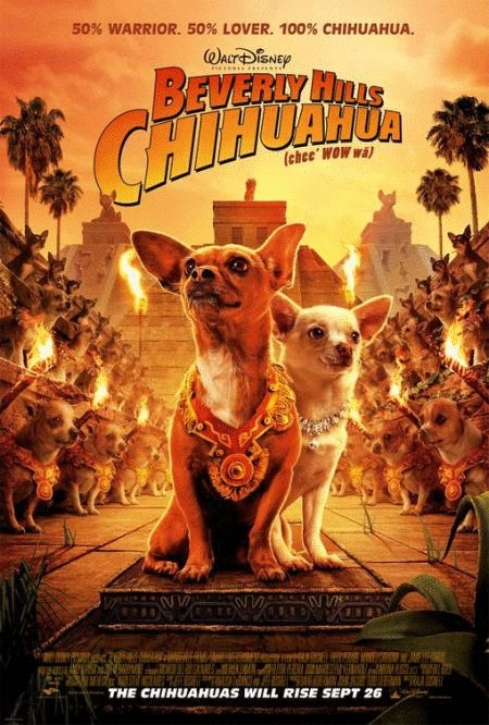 L'affiche du film Le Chihuahua de Beverly Hills