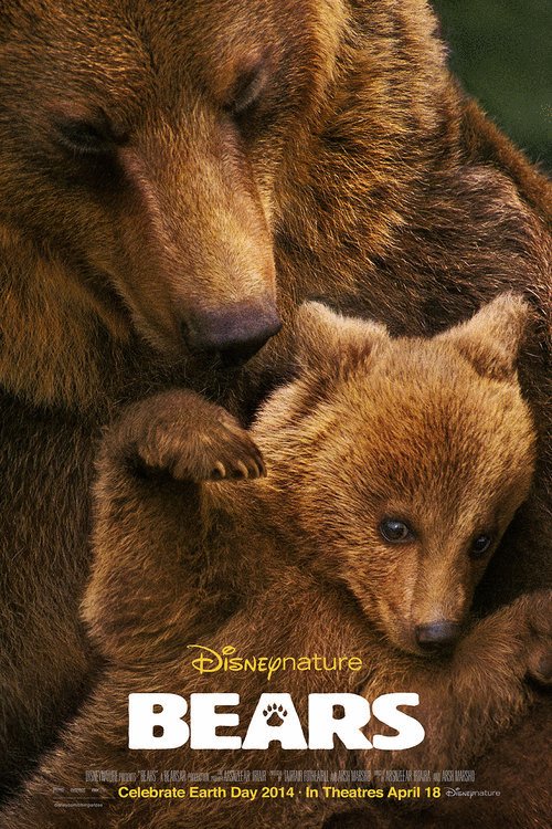 L'affiche du film Bears