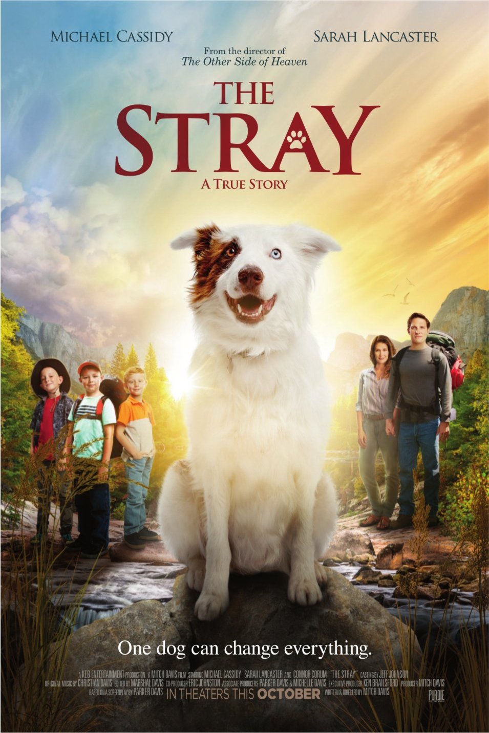 Poster of the movie The Stray