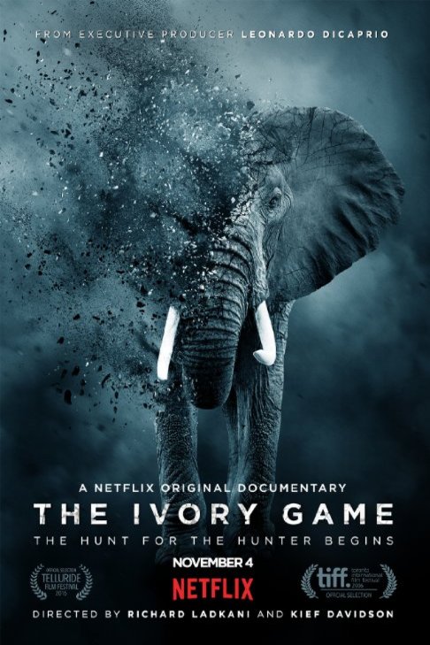 Poster of the movie The Ivory Game