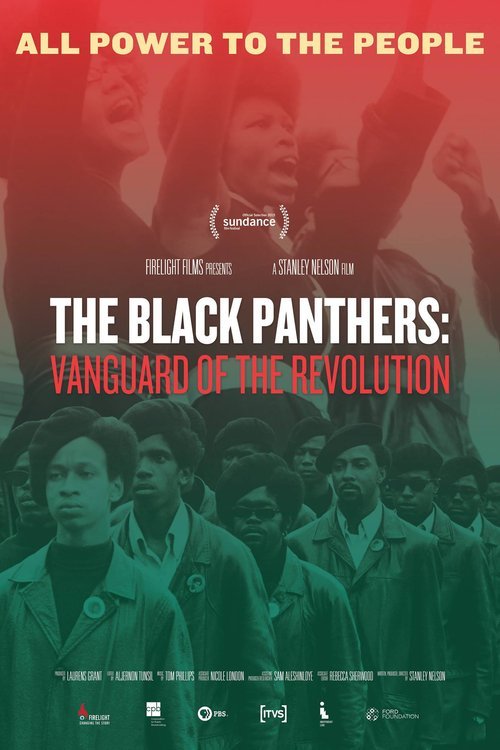 L'affiche du film The Black Panthers: Vanguard of The Revolution
