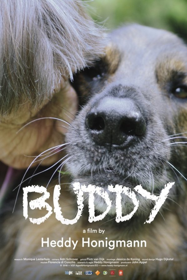 Dutch poster of the movie Buddy