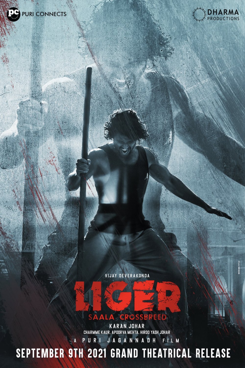 Poster of the movie Liger