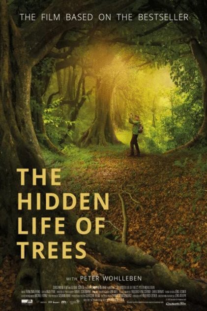 Poster of the movie The Hidden Life of Trees