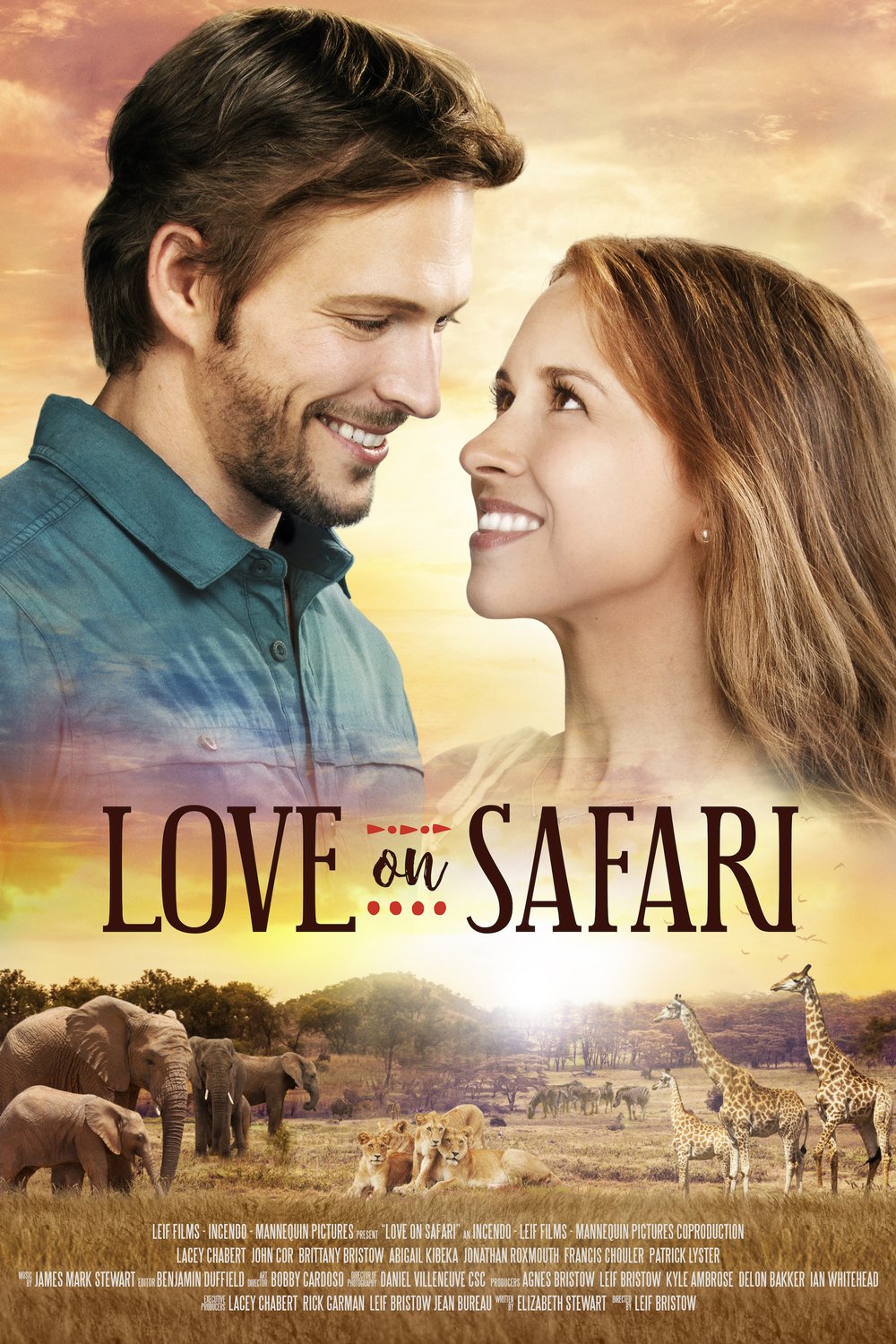 L'affiche du film Love on Safari