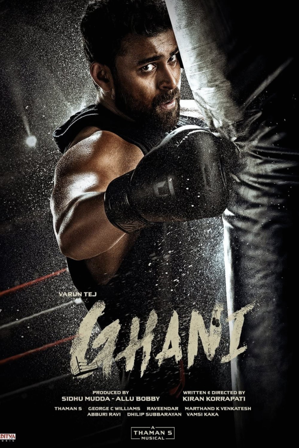 Telugu poster of the movie Ghani