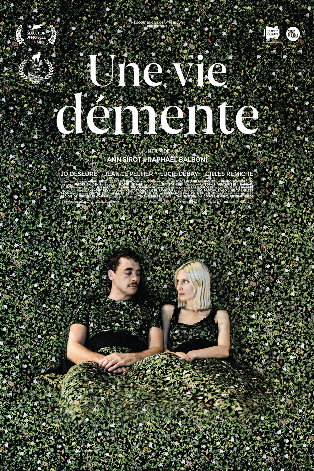 Poster of the movie Une vie démente
