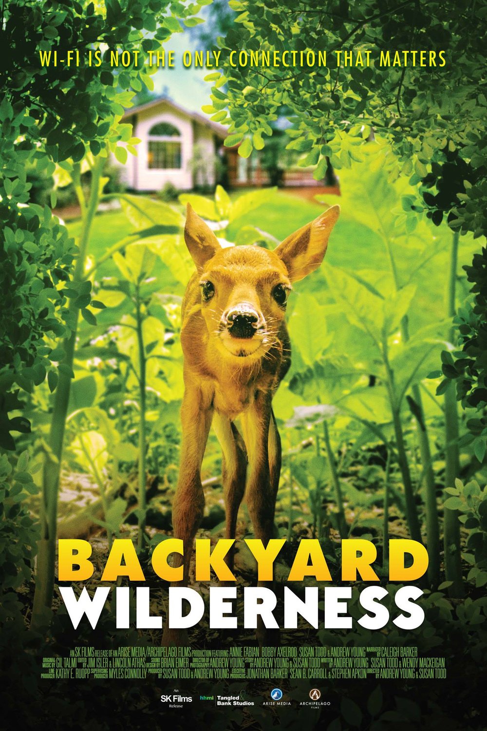 L'affiche du film Backyard Wilderness