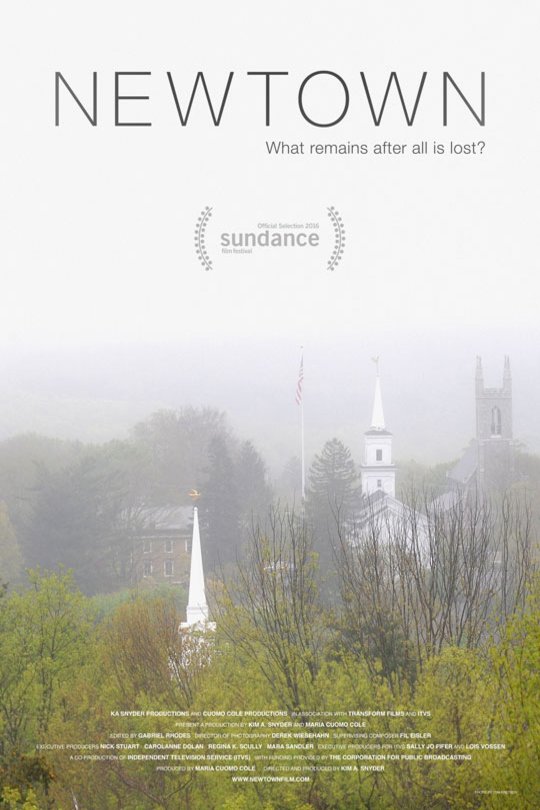 Poster of the movie Newtown