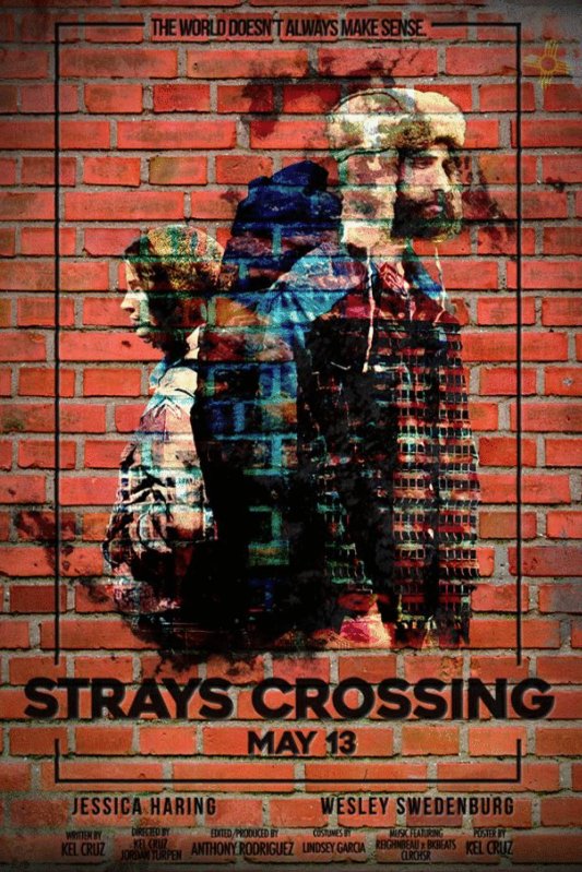 Poster of the movie Strays Crossing