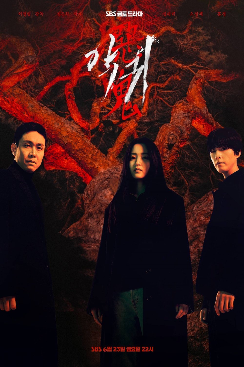 Korean poster of the movie Akgwi