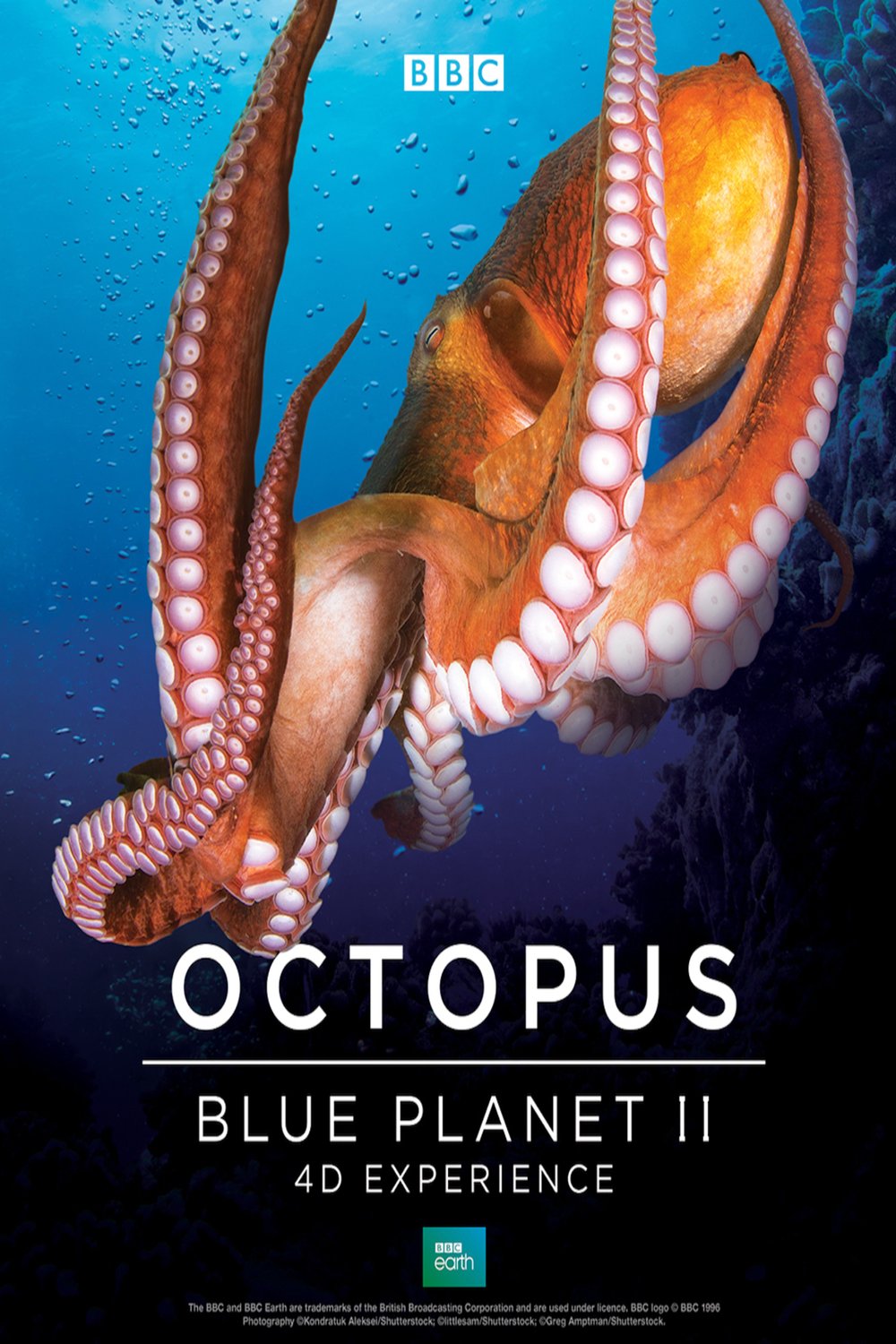 L'affiche du film Octopus: Blue Planet II 4D Experience