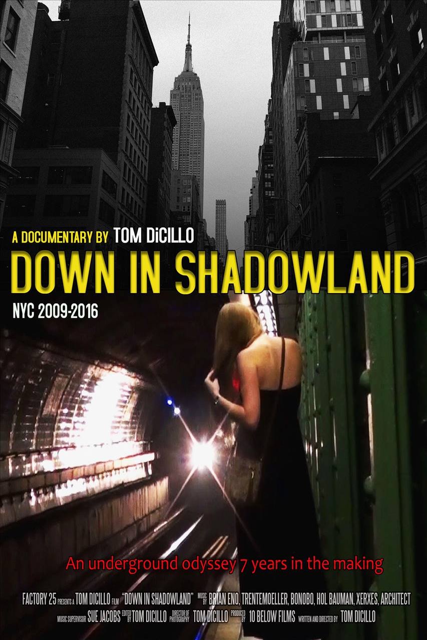 Poster of the movie Down in Shadowland